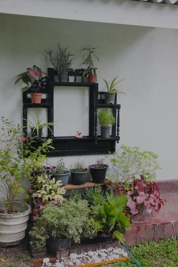 Coco Home Negombo Eksteriør billede