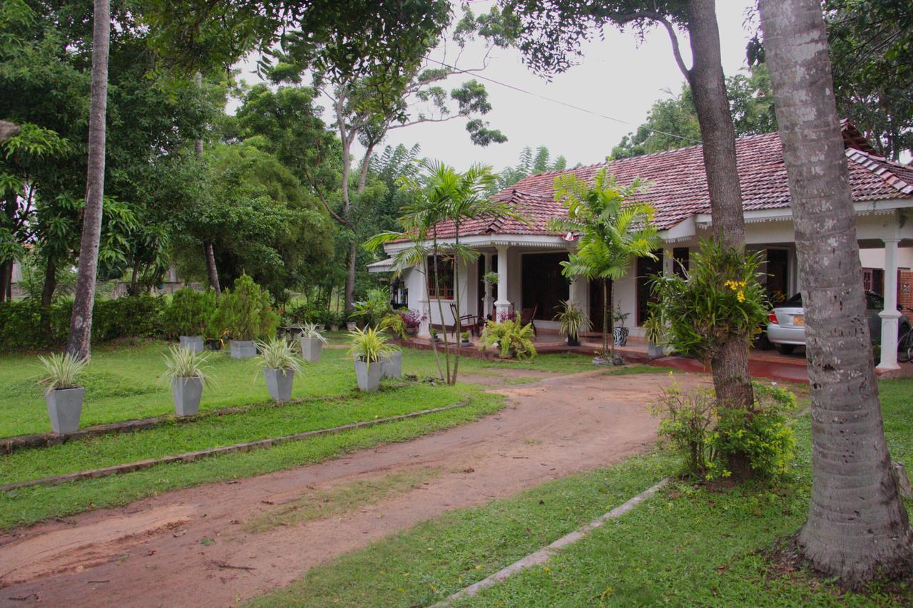Coco Home Negombo Eksteriør billede