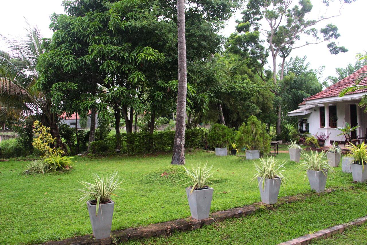 Coco Home Negombo Eksteriør billede