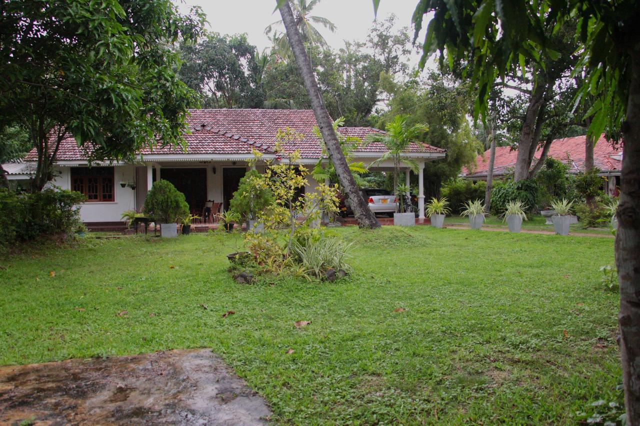 Coco Home Negombo Eksteriør billede