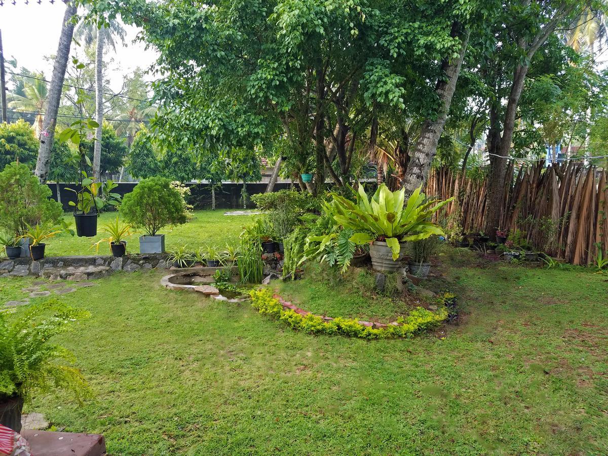 Coco Home Negombo Eksteriør billede